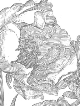 Mural Engraved Flowers  WP-670