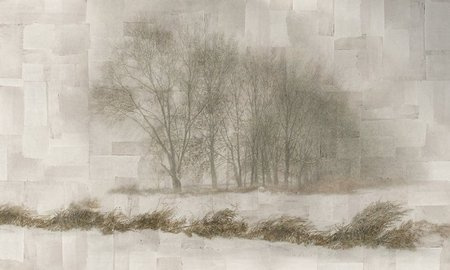 Mural Nebbia 35 0466 06 flizelina