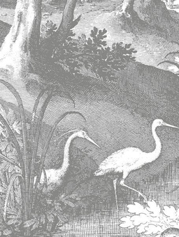 Mural Engraved Landscapes SC-045