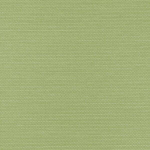 Tapeta Obiektowa Ralph W47.1726