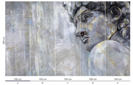 Mural David 35 0923 03  flizelina