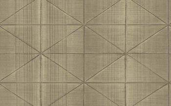 Tapeta Carl Robinson 14 CR61406