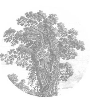 Mural Engraved Landscapes SC-013