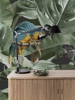 Mural Botanical birds black WP-579