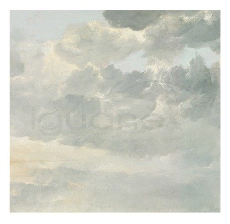 Mural Golden Age Clouds I WP-216