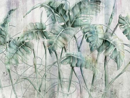 Mural Monstera 595 32 2201 - winyl