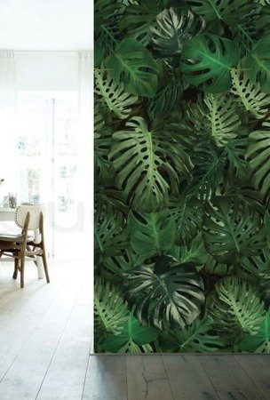 Mural Monstera Leaves WP-500