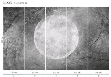 Mural Moon 35 0416 00 Winyl Canvas