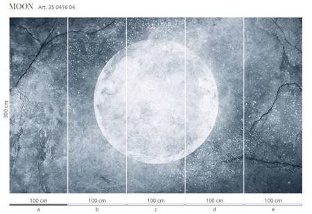 Mural Moon 35 0416 04 Winyl Canvas