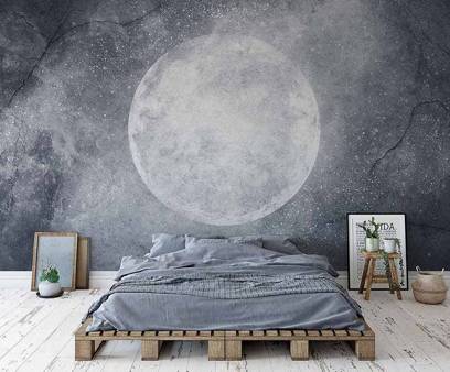 Mural Moon 35 0416 04 Winyl Canvas